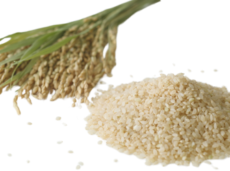 Cereal Crops