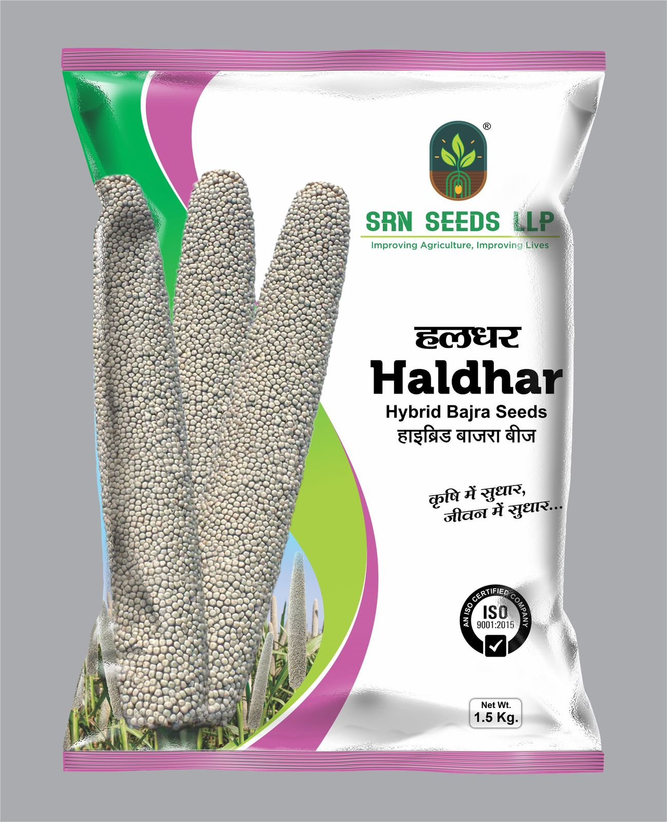 Pearl Millet (Bajra)