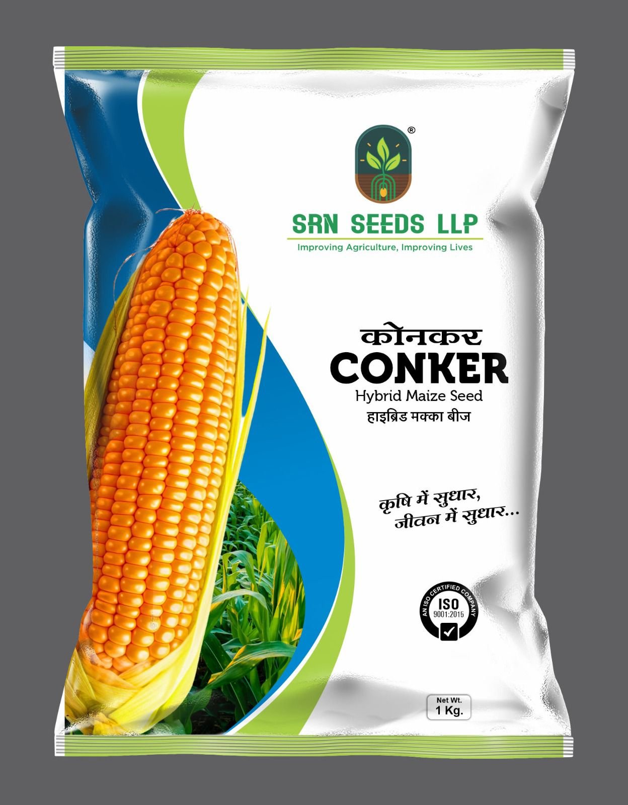 Maize (Corn)