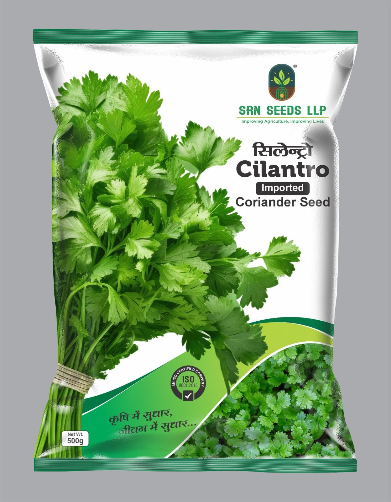 Coriander (Dhaniya)